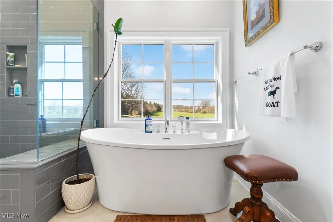 Main level primary suite bathroom