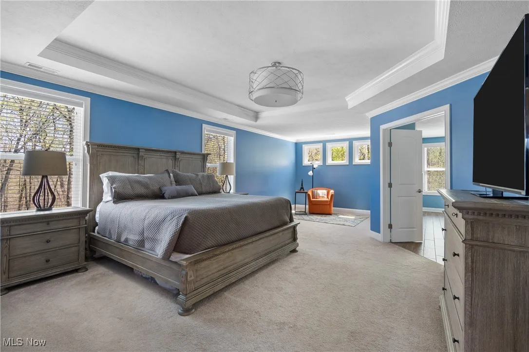Carpeted bedroom with crown molding, a tray ceiling, visible vents, and baseboards