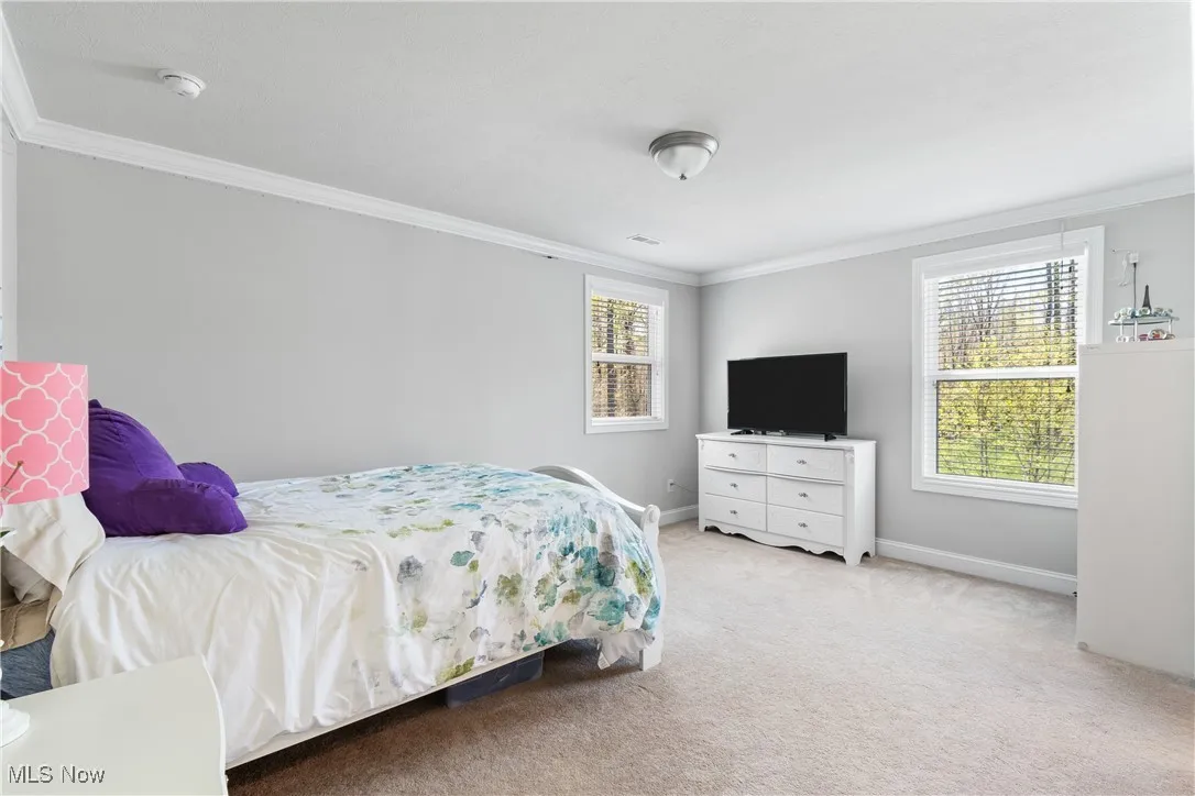 Carpeted bedroom with crown molding and baseboards