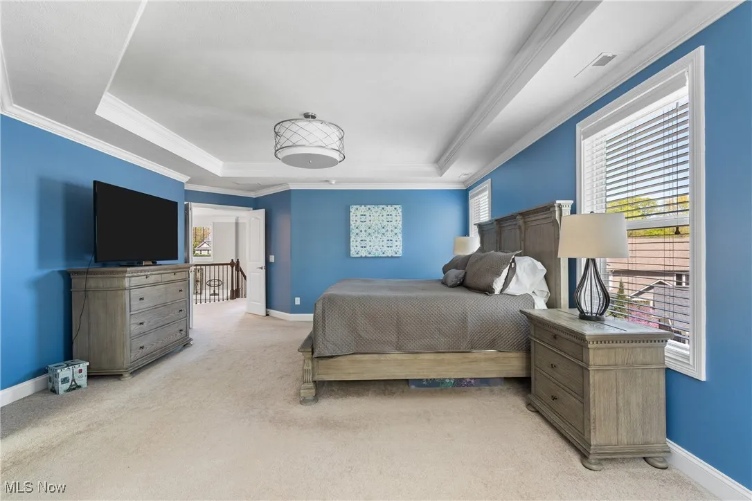 Bedroom with baseboards, ornamental molding, a tray ceiling, and carpet