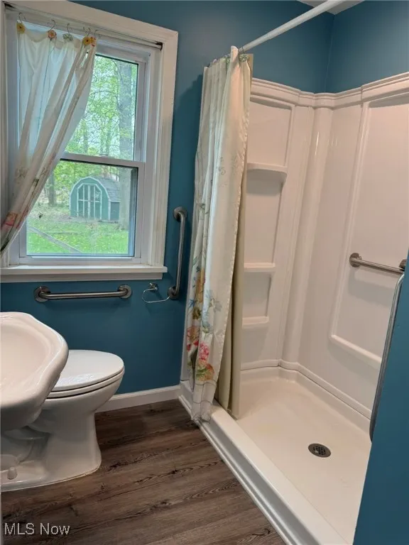 Full bath featuring a shower stall, wood finished floors, a sink, baseboards, and toilet