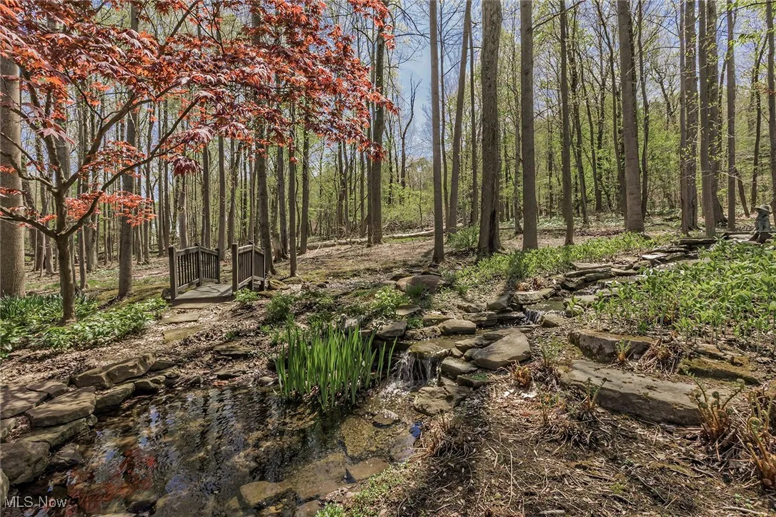 Another view of pond and bridge. Such privacy in your own 3 acre forest.