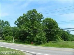 Priem Road, Strongsville, Ohio,MLS Now Listing ID
