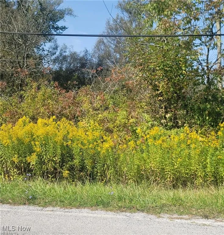 Hartville Road, Atwater, Ohio,MLS Now Listing ID