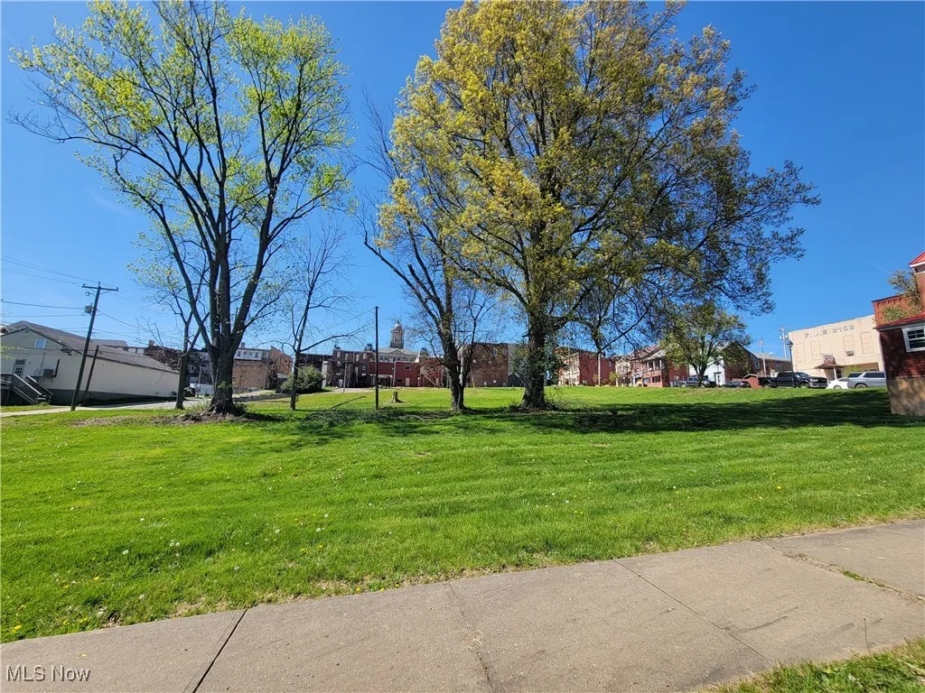 View from S Ohio St and rear yard of additional lot