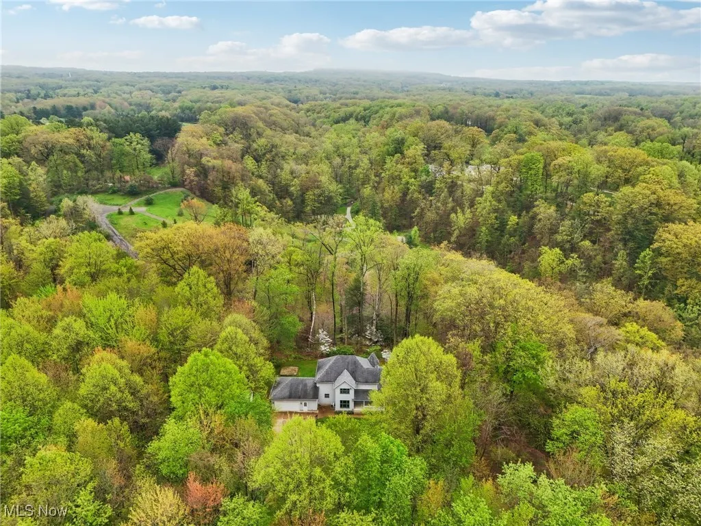 Aerial view with a view of trees