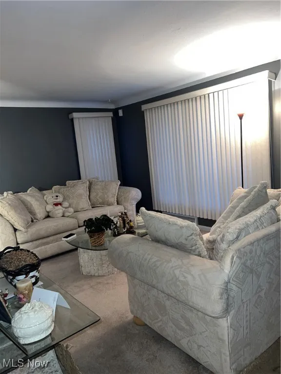 View of carpeted living area
