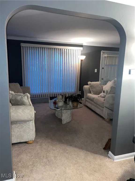 Living room featuring carpet floors