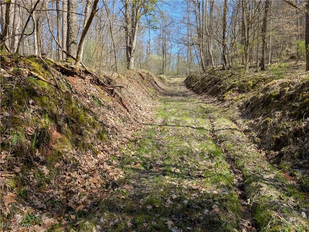 Rush Run Road, Arnoldsburg, West Virginia,MLS Now Listing ID
