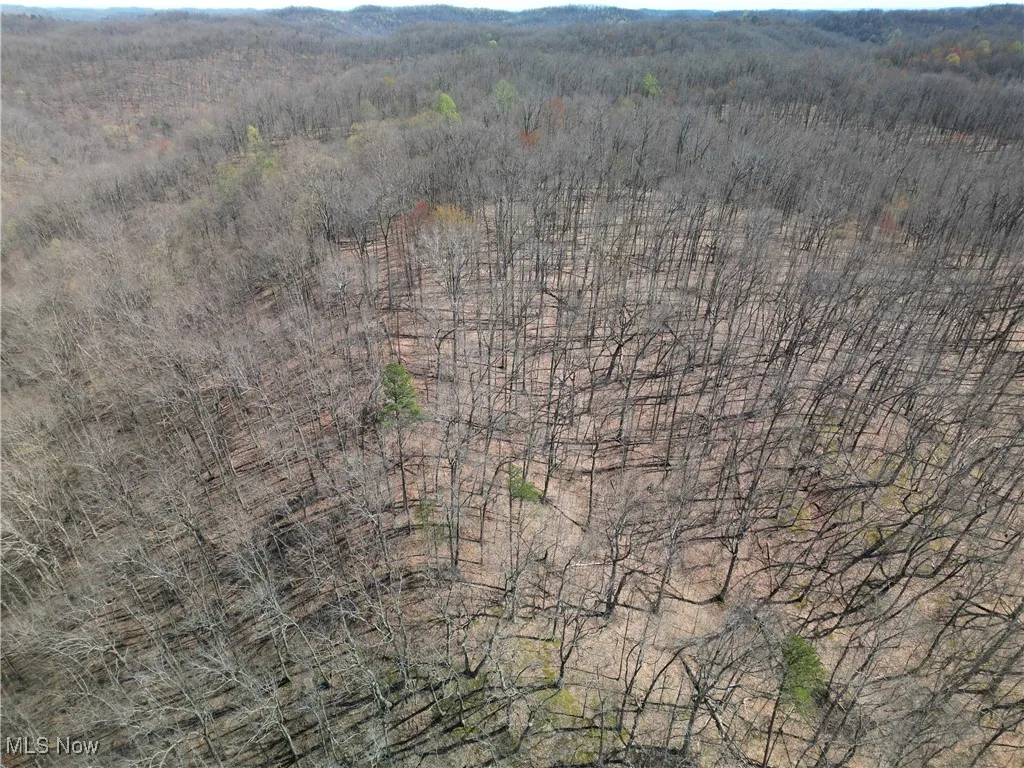 Rush Run Road, Arnoldsburg, West Virginia,MLS Now Listing ID