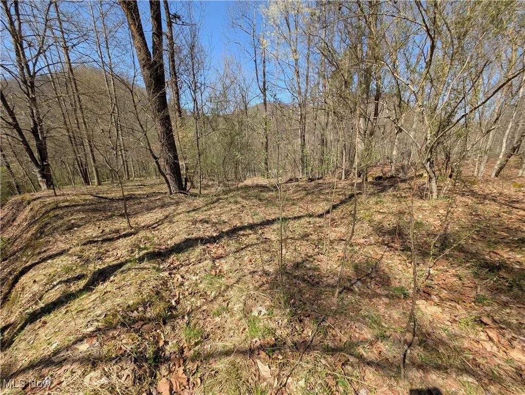 Rush Run Road, Arnoldsburg, West Virginia,MLS Now Listing ID