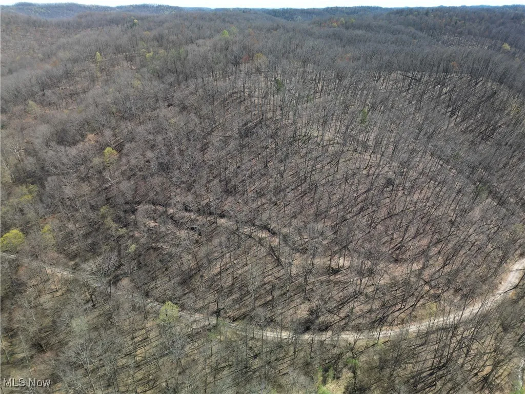 Rush Run Road, Arnoldsburg, West Virginia,MLS Now Listing ID