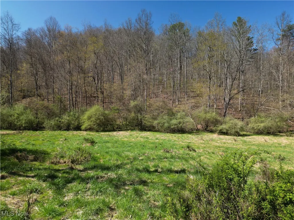Rush Run Road, Arnoldsburg, West Virginia,MLS Now Listing ID
