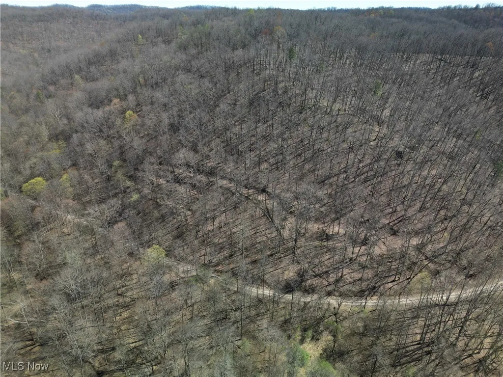 Rush Run Road, Arnoldsburg, West Virginia,MLS Now Listing ID