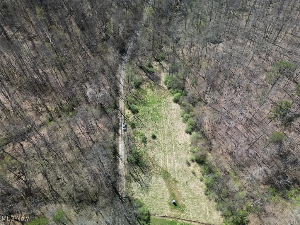 Rush Run Road, Arnoldsburg, West Virginia,MLS Now Listing ID