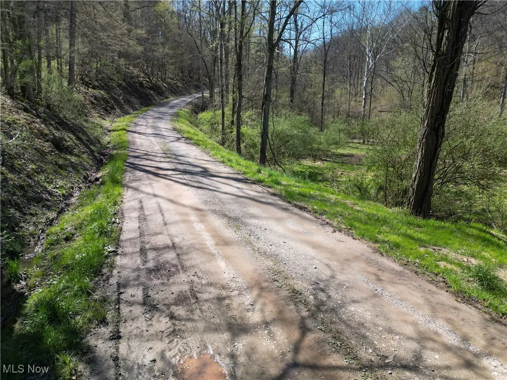 Rush Run Road, Arnoldsburg, West Virginia,MLS Now Listing ID