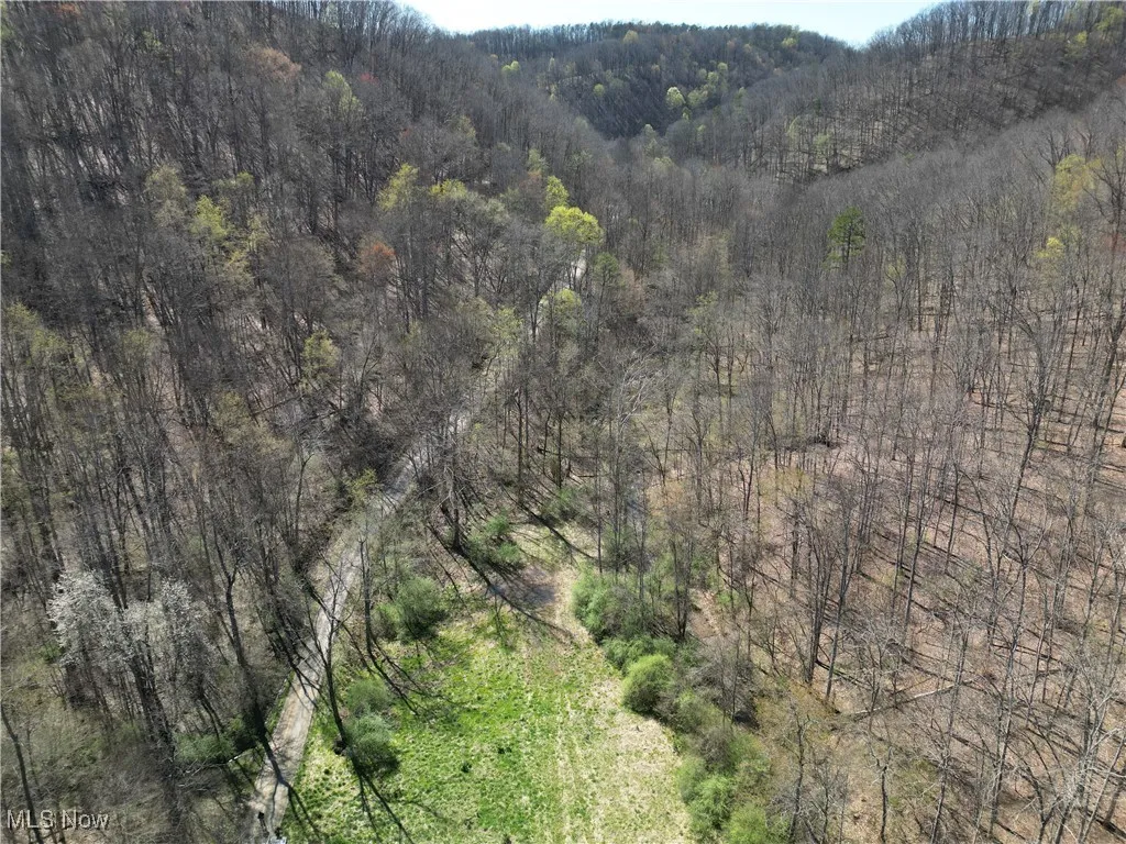 Rush Run Road, Arnoldsburg, West Virginia,MLS Now Listing ID