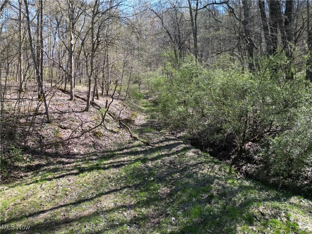 Rush Run Road, Arnoldsburg, West Virginia,MLS Now Listing ID