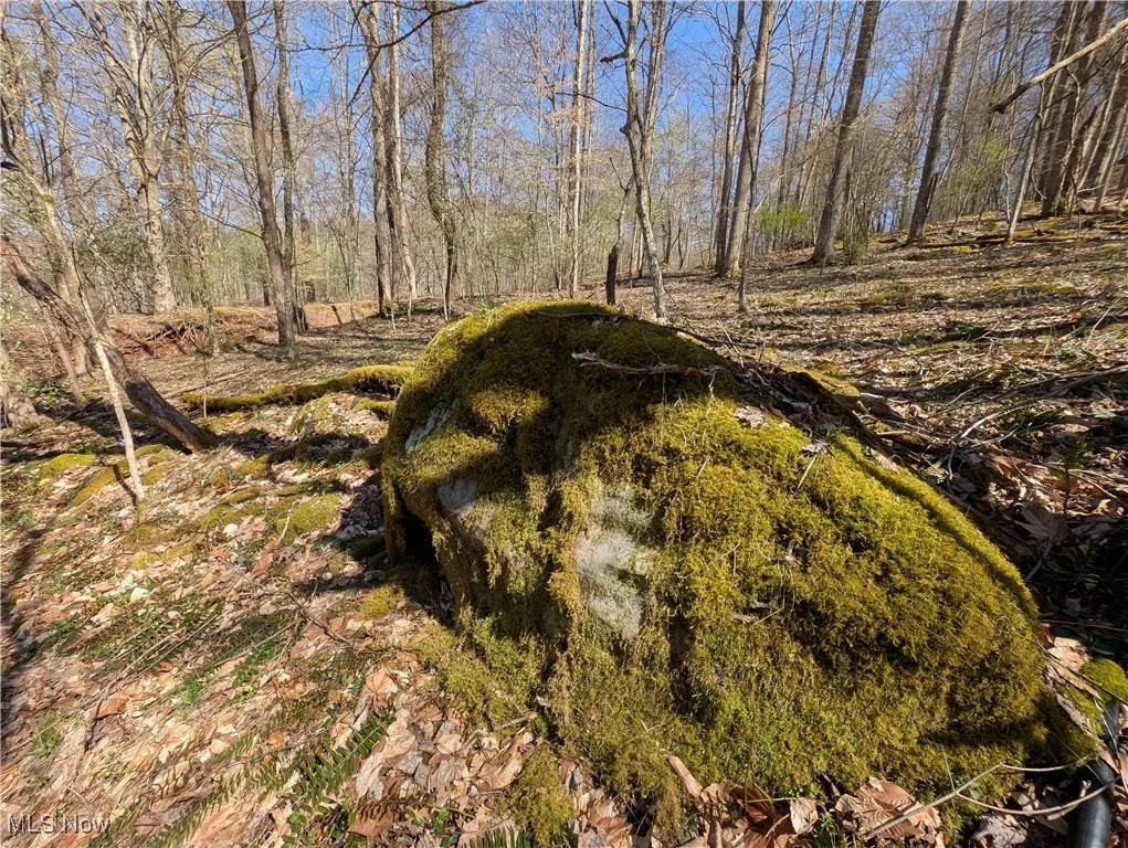 Rush Run Road, Arnoldsburg, West Virginia,MLS Now Listing ID