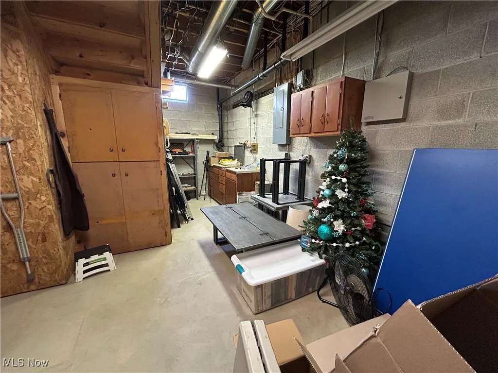 Basement featuring electric panel