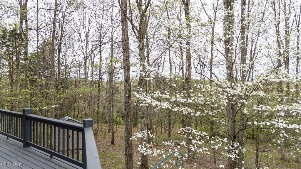 6570 State Route 339, Vincent, Ohio,MLS Now Listing ID