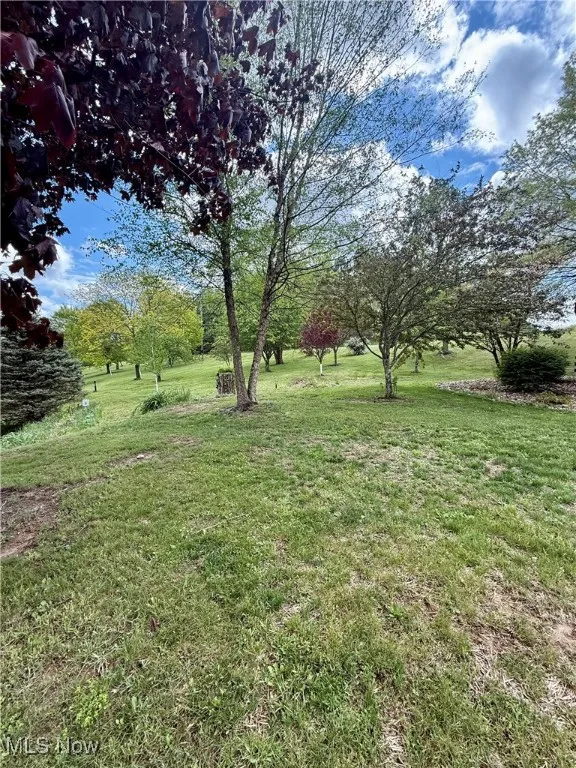 View of green lawn