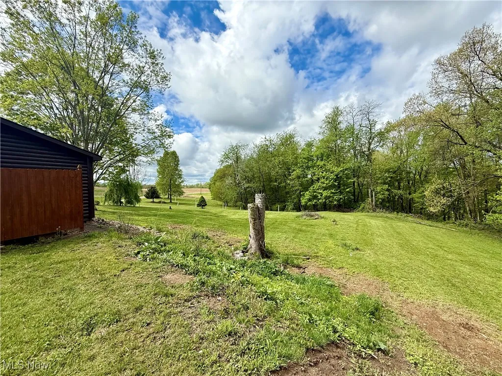 View of grassy yard