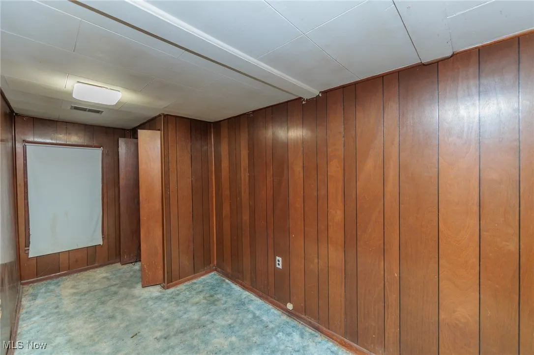Basement featuring wood walls and light carpet