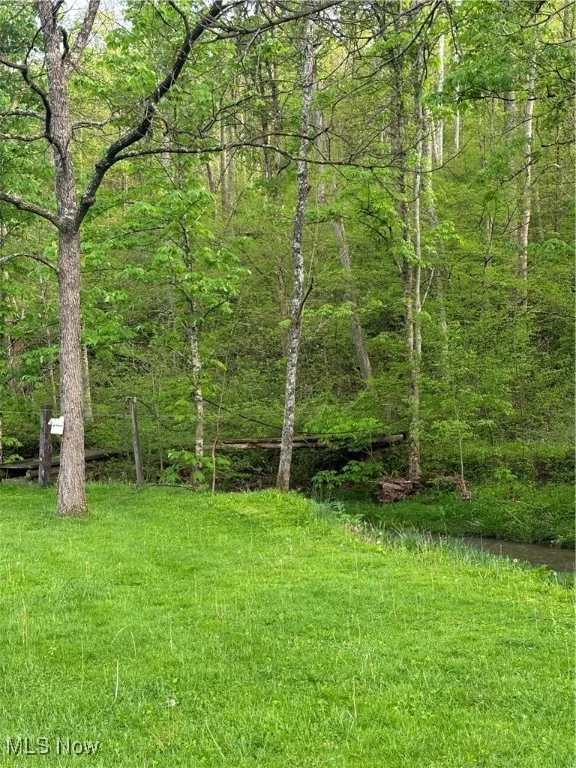 View of yard with a view of trees