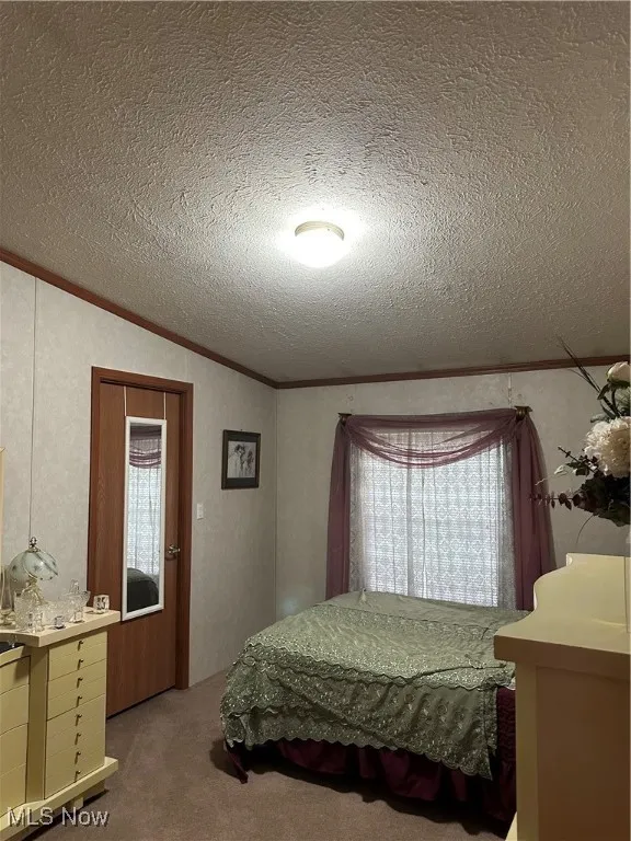 Carpeted bedroom featuring crown molding, lofted ceiling, and a textured ceiling