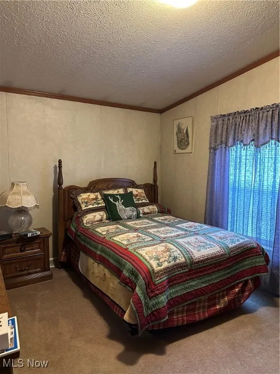 Bedroom with carpet, lofted ceiling, crown molding, and a textured ceiling