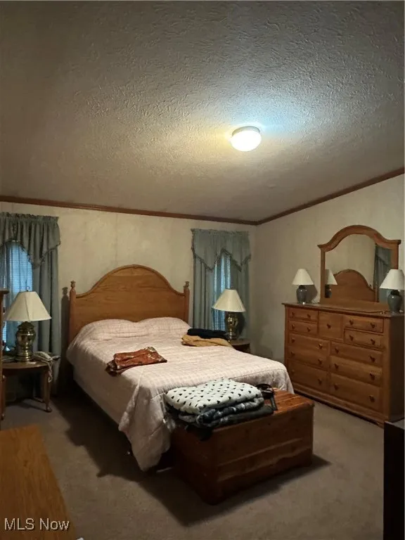 Carpeted bedroom featuring crown molding and a textured ceiling