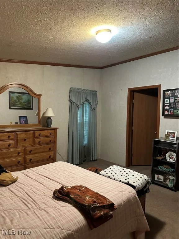 Carpeted bedroom featuring crown molding and a textured ceiling