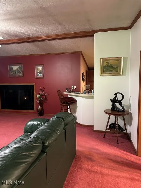 Living area with dark colored carpet, crown molding, baseboards, and a textured ceiling