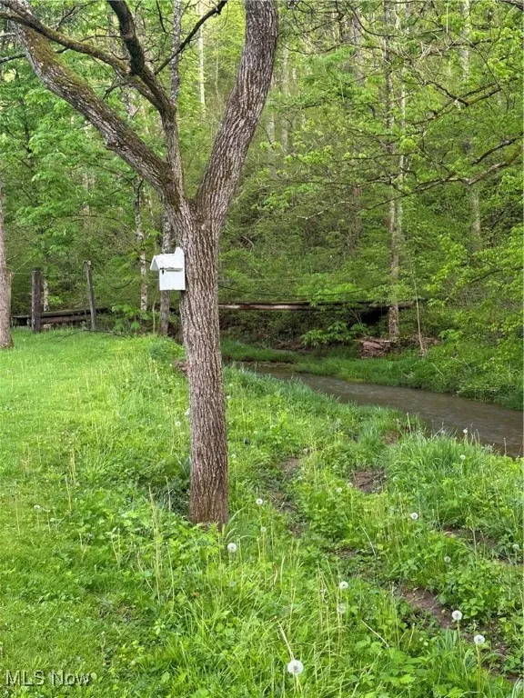 View of yard featuring a forest view