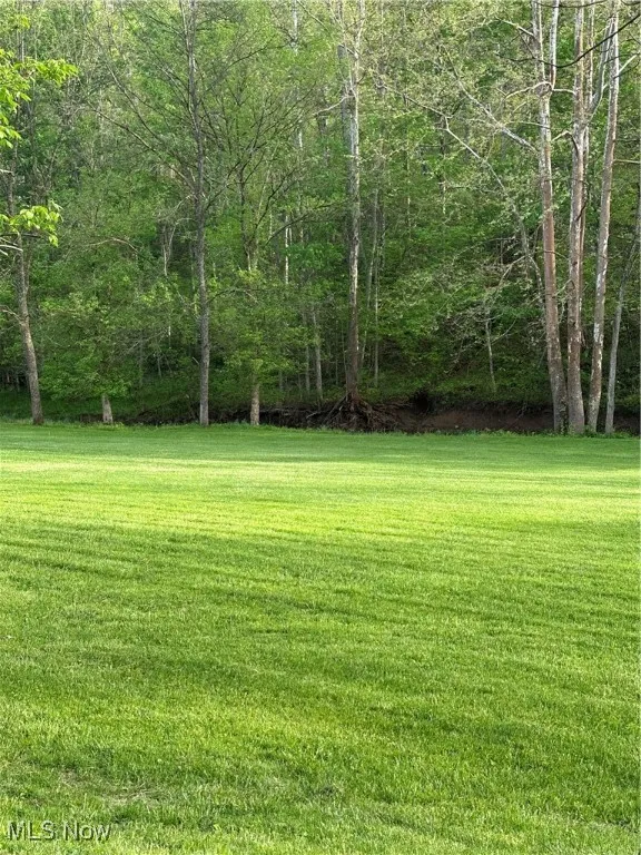 View of  on the side yard