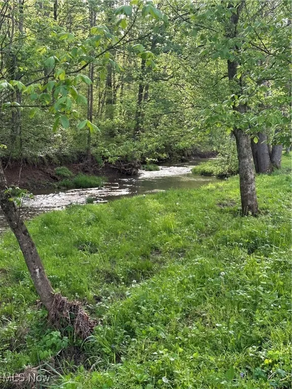 View of nature featuring a forest view