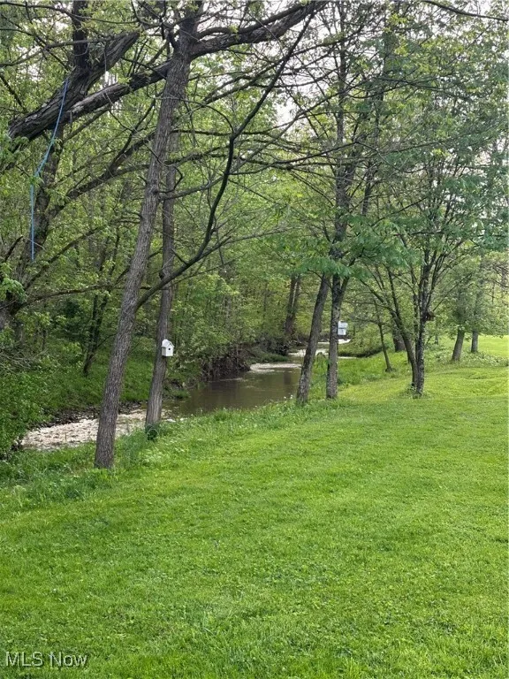 View of yard with creek - Stream