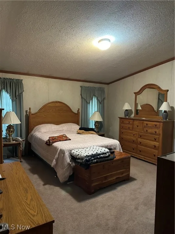 Carpeted bedroom featuring ornamental molding and a textured ceiling