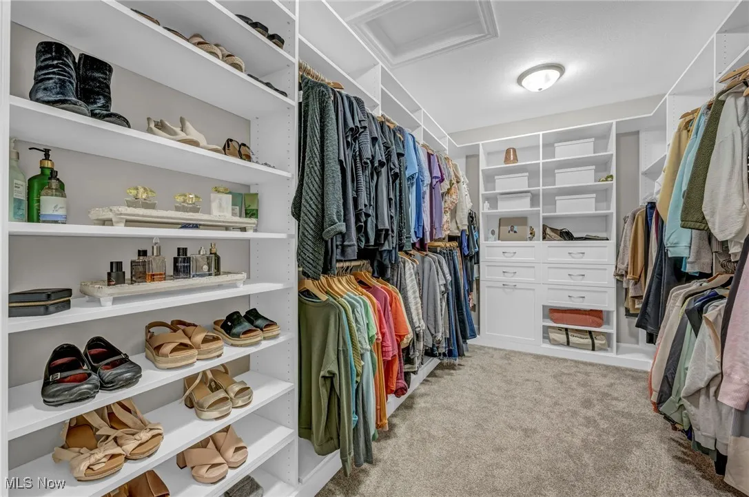 Walk in closet with attic access and carpet floors