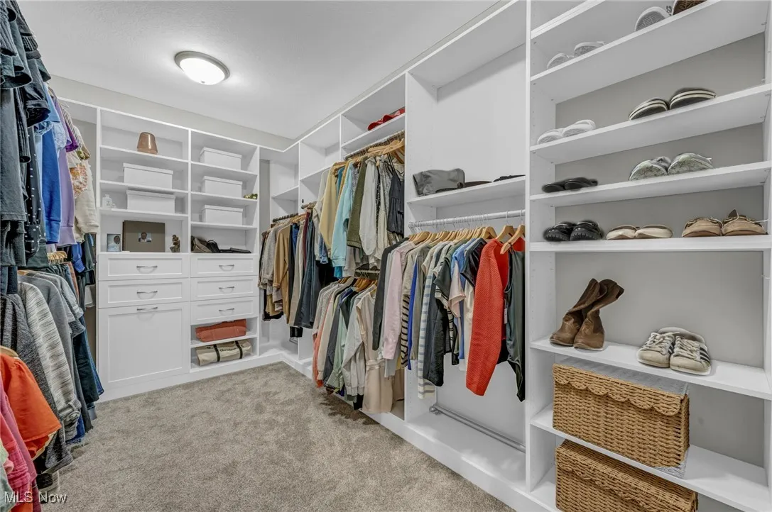 Walk in closet with carpet flooring