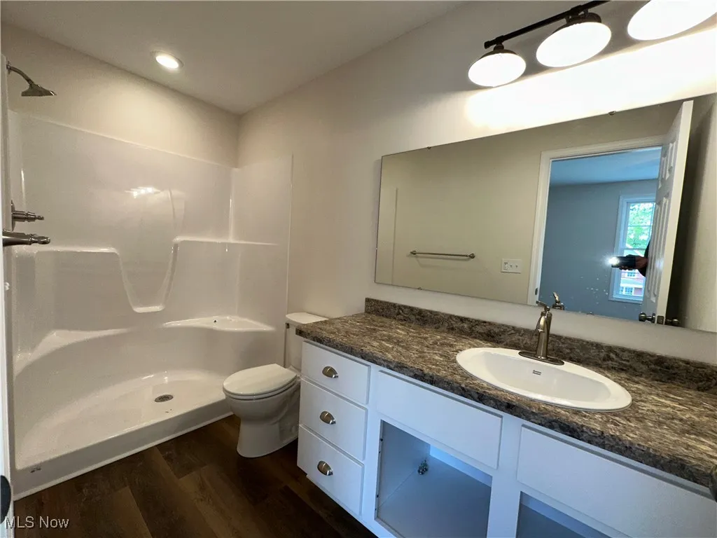 Bathroom with LVT floors, a shower, vanity, and toilet