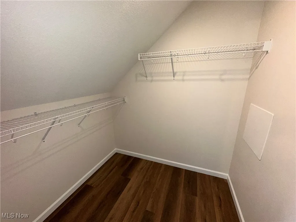 Walk in closet with dark LVT floors