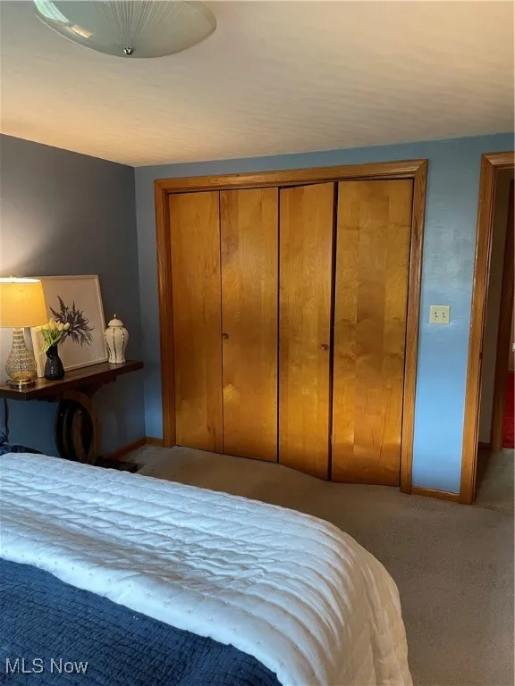 Bedroom featuring carpet floors, a closet, and baseboards