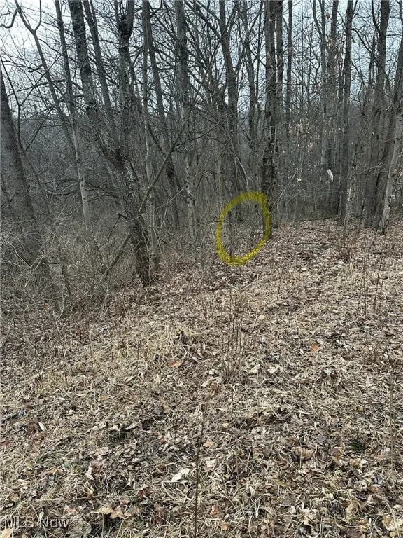 View of property line stake.
