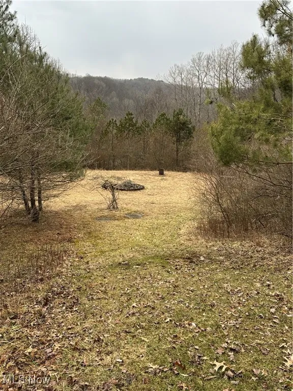 View of fire pit and  wooded area.