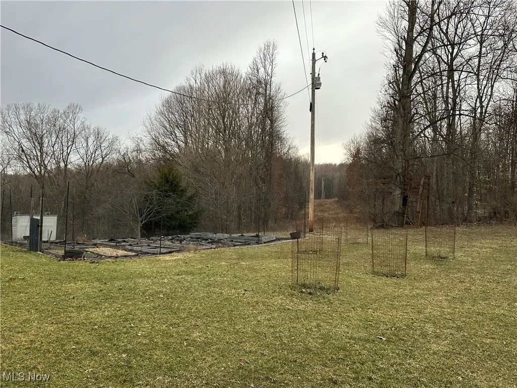 View of grassy yard with fruit trees.