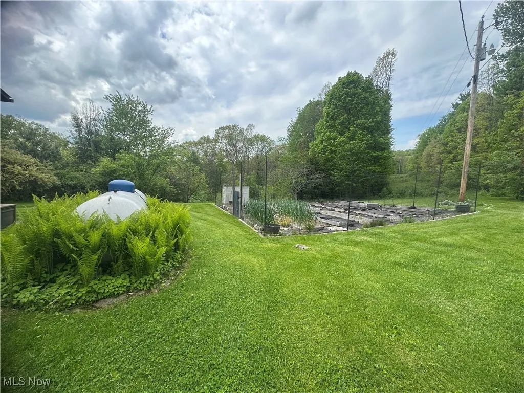 View of grassy yard, propane tank and garden