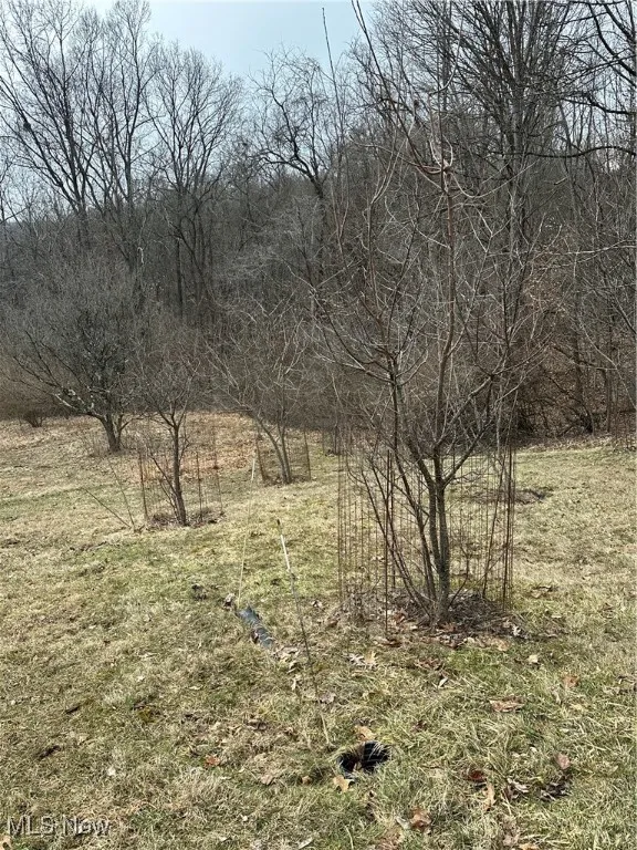 View of fruit trees