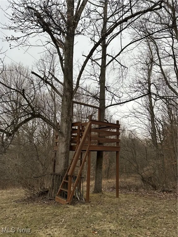 View of Tree house